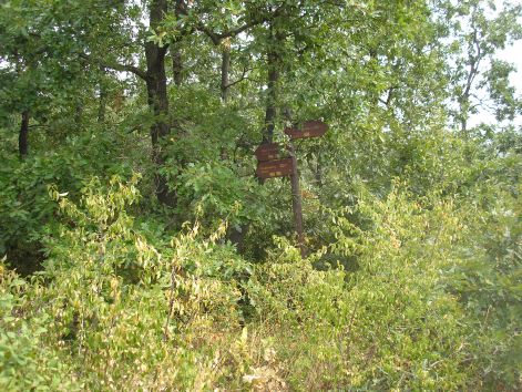 3.valsaztas.jpg 3.valsaztas.jpg