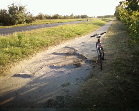 3_dinnyes_iranya.jpg 3_dinnyes_iranya.jpg