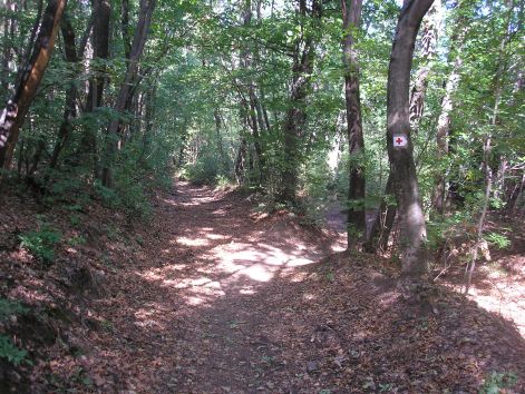 3_erdoben.jpg 3_erdoben.jpg