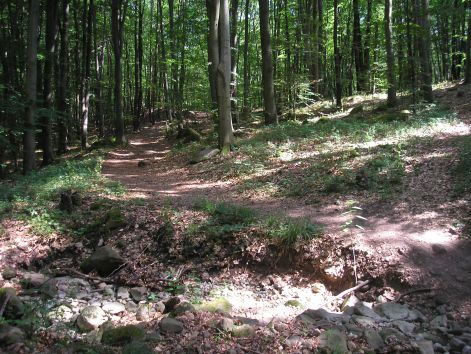 3_p6192232.jpg 3_p6192232.jpg