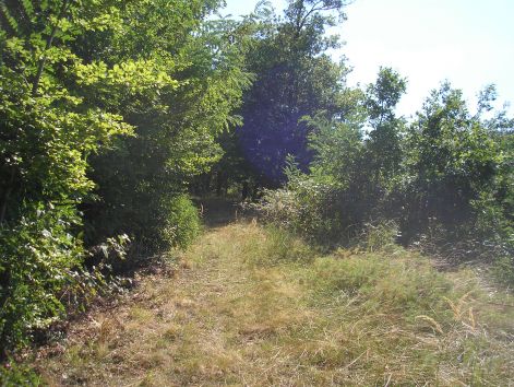 4-1-p9072856.jpg 4-1-p9072856.jpg