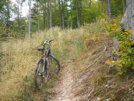 4-1-pa093036.jpg 4-1-pa093036.jpg