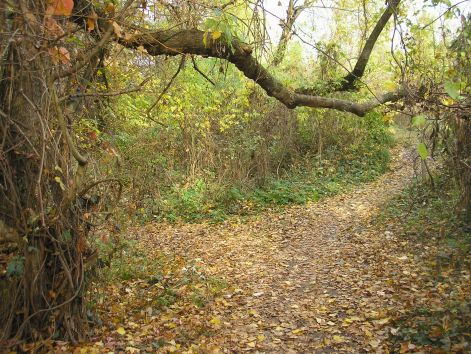 4-1pa233113.jpg 4-1pa233113.jpg