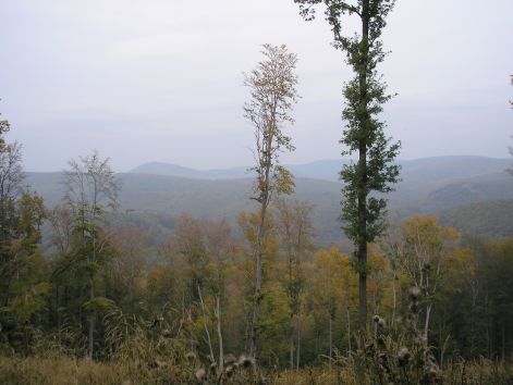 4-2-pa093035.jpg 4-2-pa093035.jpg