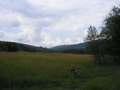 4-p6282279.jpg 4-p6282279.jpg