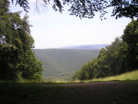 4-p7032366.jpg 4-p7032366.jpg