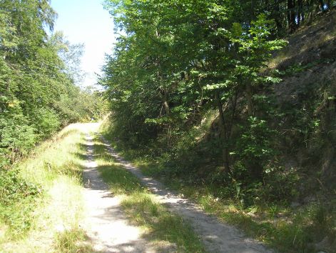 4-p7222547.jpg 4-p7222547.jpg