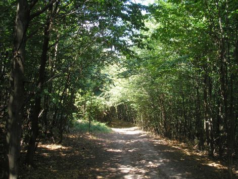 4-p8162677.jpg 4-p8162677.jpg