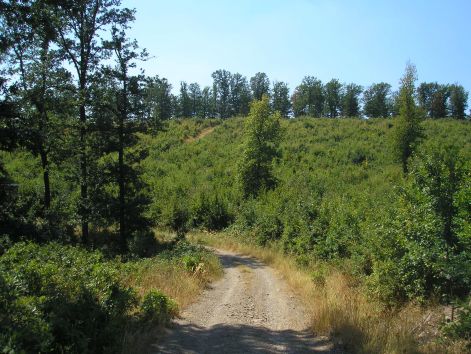 4-p8172723.jpg 4-p8172723.jpg