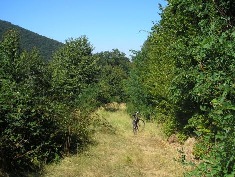 4-p9072857.jpg 4-p9072857.jpg