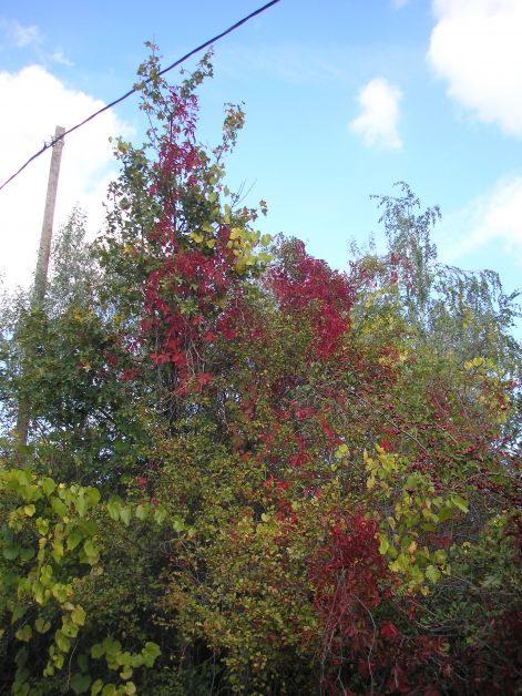 4-p9282980.jpg 4-p9282980.jpg