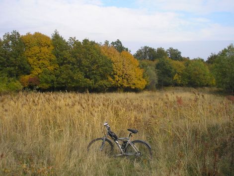 4-pa093039.jpg 4-pa093039.jpg