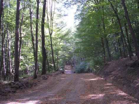 4._kellemes_lanka.jpg 4._kellemes_lanka.jpg