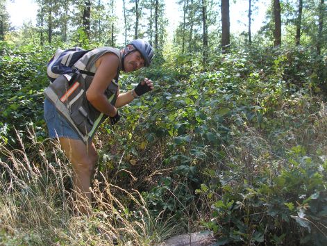 4._szedrezes.jpg 4._szedrezes.jpg