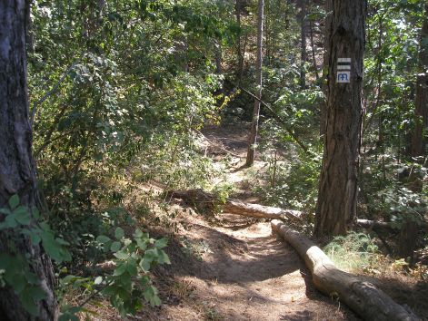 4.csak_tolni.jpg 4.csak_tolni.jpg