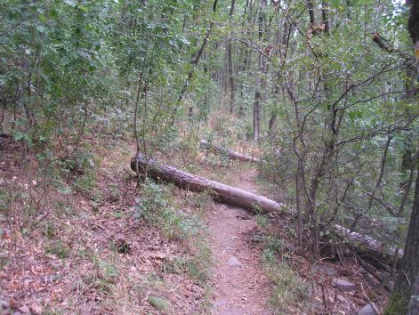 4.keves_bringas_jar_erre.jpg 4.keves_bringas_jar_erre.jpg