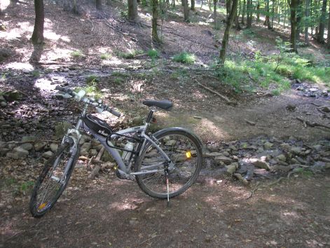 4_p6192235.jpg 4_p6192235.jpg