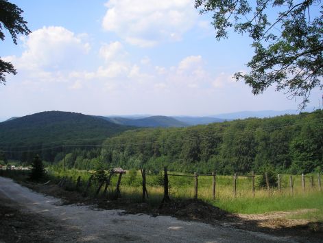 5-p7102449.jpg 5-p7102449.jpg