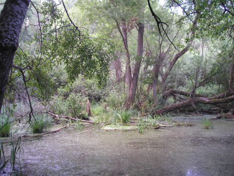 5-p7172496.jpg 5-p7172496.jpg