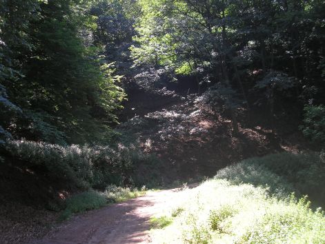 5-p7222550.jpg 5-p7222550.jpg