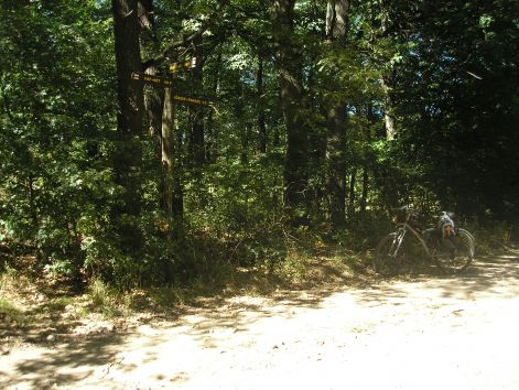 5-p8022616.jpg 5-p8022616.jpg