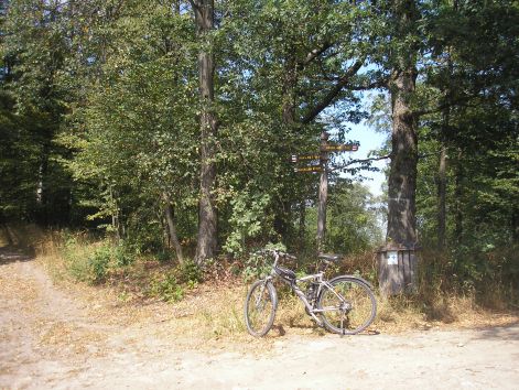 5-p8162680.jpg 5-p8162680.jpg