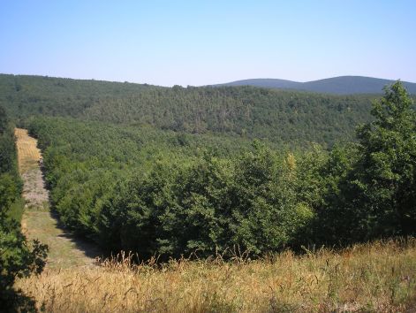 5-p8172724.jpg 5-p8172724.jpg