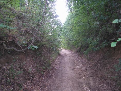 5-p8302757.jpg 5-p8302757.jpg