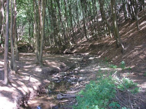 5-p9042802.jpg 5-p9042802.jpg