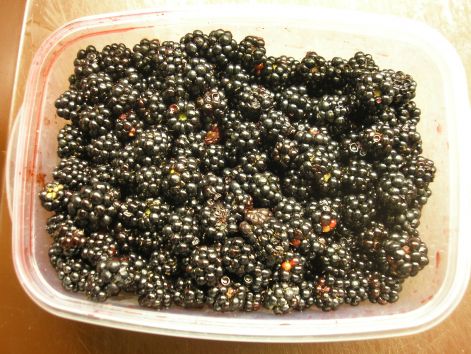 5-p9072858.jpg 5-p9072858.jpg