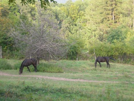 5-p9252974.jpg 5-p9252974.jpg