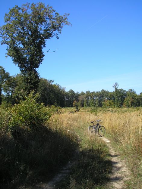 5-p9282982.jpg 5-p9282982.jpg