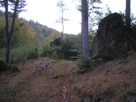 5-pa013002.jpg 5-pa013002.jpg