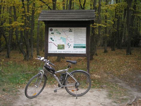 5-pa093033.jpg 5-pa093033.jpg