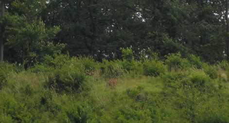 5-uno_1.jpg 5-uno_1.jpg