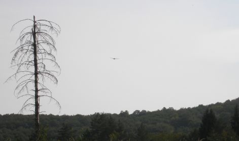 5._a_levego_ura_1.jpg 5._a_levego_ura_1.jpg