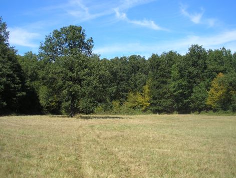 5.erdon-mezon.jpg 5.erdon-mezon.jpg