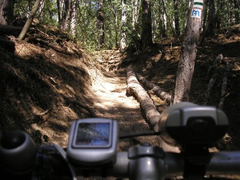 5.huzos_menet.jpg 5.huzos_menet.jpg