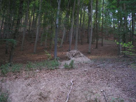 5.lankas_oldal.jpg 5.lankas_oldal.jpg