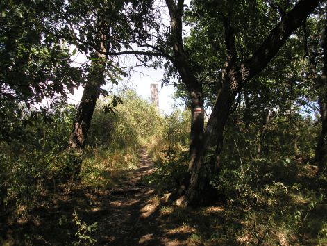 5.lassan_a_cel_fele.jpg 5.lassan_a_cel_fele.jpg