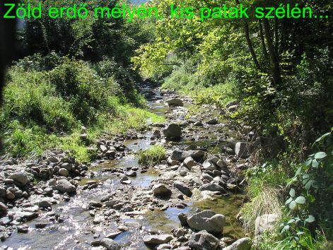 5.patakszele.jpg 5.patakszele.jpg