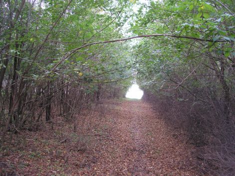 5_nyiladek.jpg 5_nyiladek.jpg