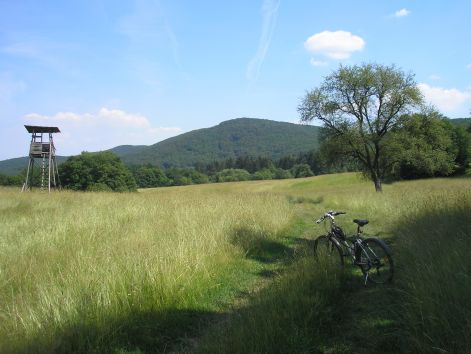 5_p6192233.jpg 5_p6192233.jpg