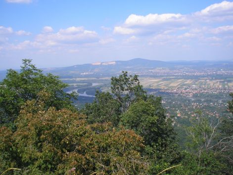 6-1-p7172506.jpg 6-1-p7172506.jpg