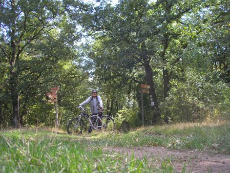 6-a_boseg_zavara_allo-ret.jpg 6-a_boseg_zavara_allo-ret.jpg