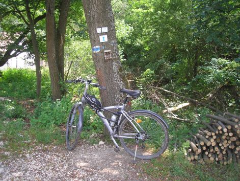 6-p6282284.jpg 6-p6282284.jpg