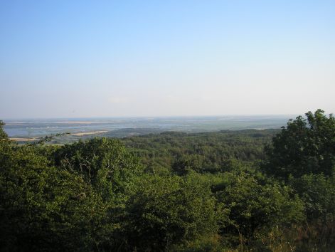 6-p6292320.jpg 6-p6292320.jpg