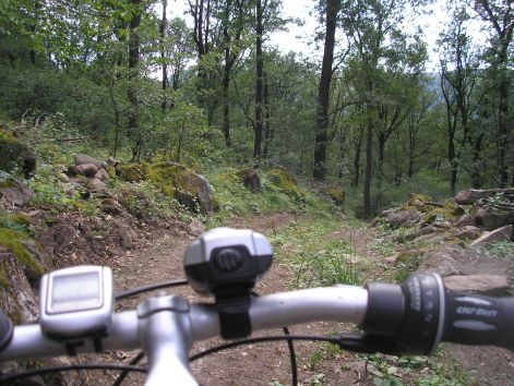 6-p7122477.jpg 6-p7122477.jpg