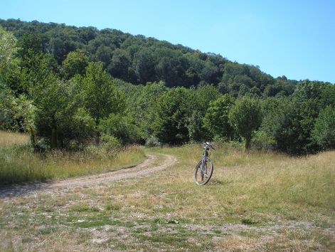 6-p7222552.jpg 6-p7222552.jpg