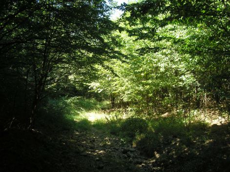 6-p8022618.jpg 6-p8022618.jpg